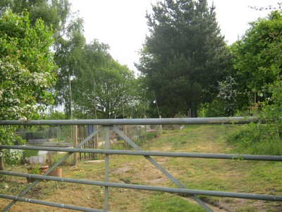 A silver fence in the foreground and an allotment in the background