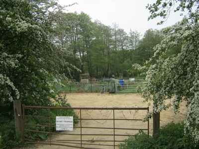 A rusted fence with white blossom trees either side and sand behind the fence