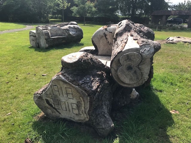 Tree log benches