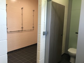 toilet and shower