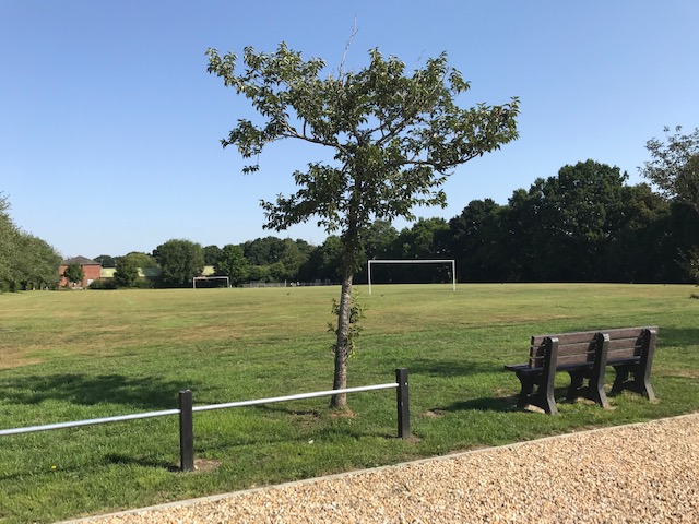 outdoor football pitch