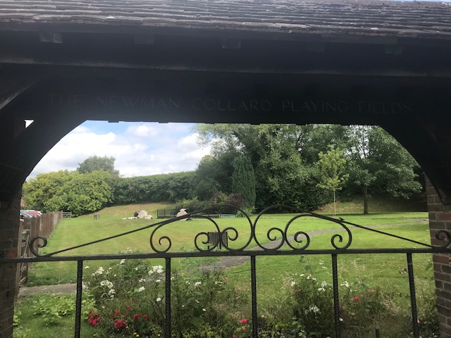 gate and a beautiful garden