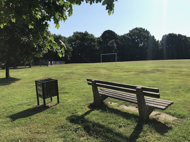 Bench and a bin on a sunny field