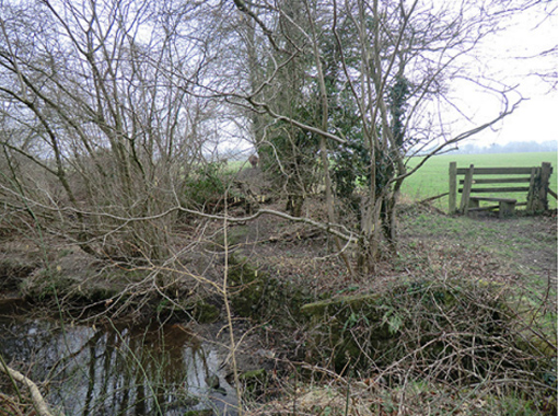 a river in the woods with a fence in the background leading to a field