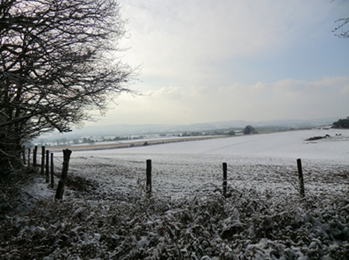 a field behind a fence covered in snow with a tree on the left of the frame