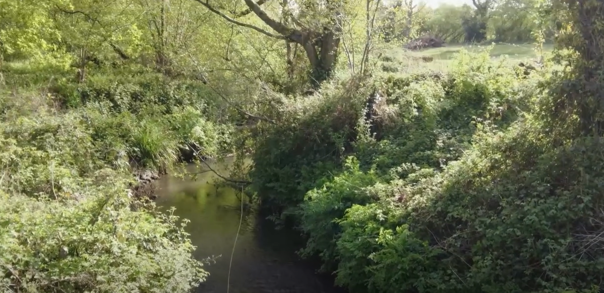 Liss Riverside Nature Day 1pm-4pm Saturday 13th June 2026 